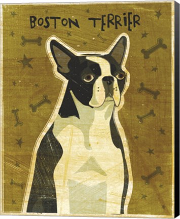 Framed Boston Terrier Print