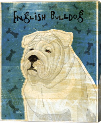 Framed English Bulldog Print