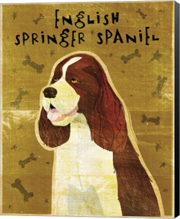 Framed English Springer Spaniel Print