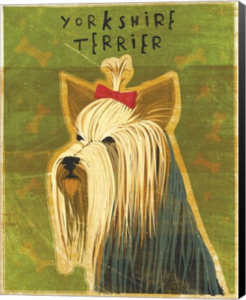 Framed Yorkshire Terrier Print