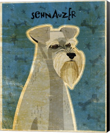 Framed Schnauzer Print