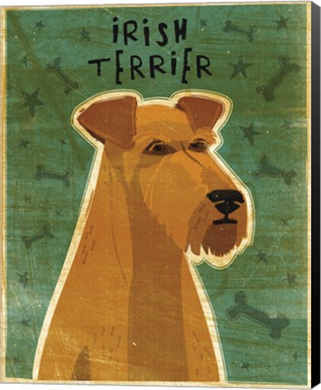 Framed Irish Terrier Print