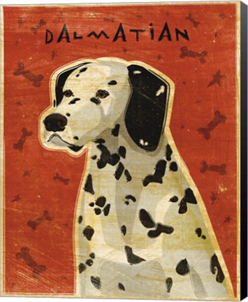 Framed Dalmation Print