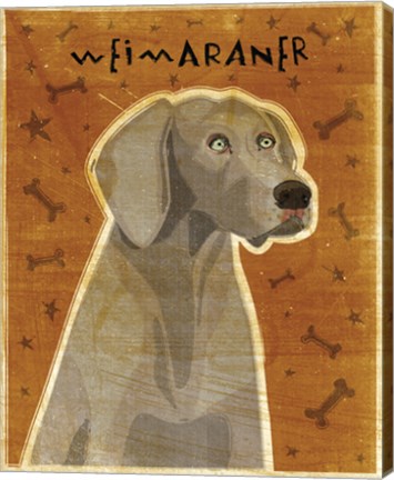 Framed Weimaraner Print