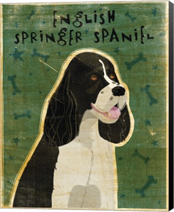 Framed English Springer Spaniel (black and white) Print