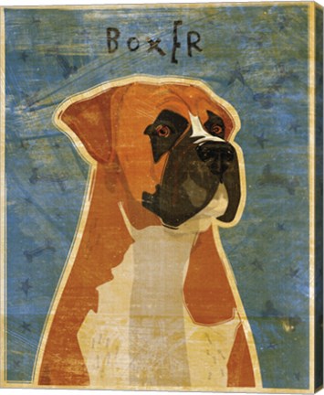 Framed Boxer Print