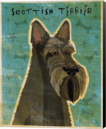 Framed Scottish Terrier Print
