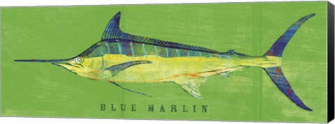 Framed Blue Marlin Print