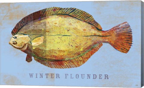 Framed Winter Flounder Print