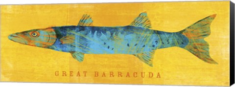 Framed Great Barracuda Print