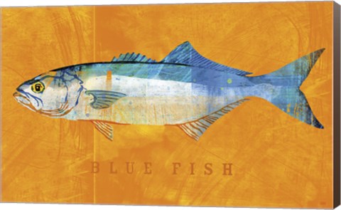 Framed Bluefish Print