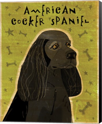 Framed American Cocker Spaniel (black) Print