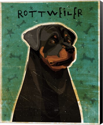 Framed Rottweiler Print