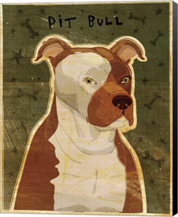 Framed Pit Bull Print