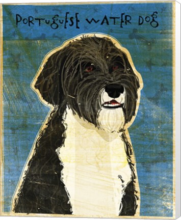 Framed Portuguese Water Dog Print