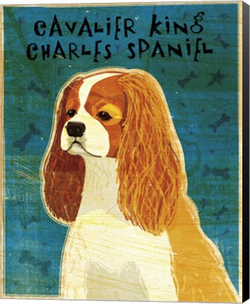 Framed Cavalier King Charles (Blenheim) Print