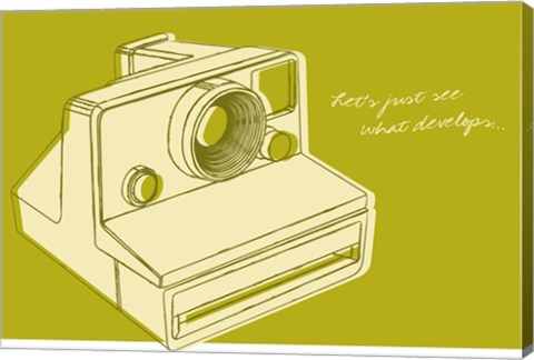 Framed Lunastrella Instant Camera Print