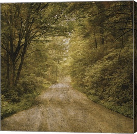 Framed Flannery Fork Road No. 1 Print