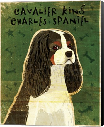 Framed Cavalier King Charles (tri-color) Print