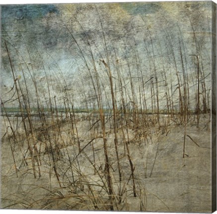 Framed Masonboro Island No. 6 Print