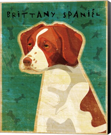 Framed Brittany Spaniel Print