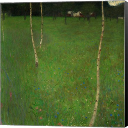 Framed Farmhouse With Birch Trees, 1900 Print