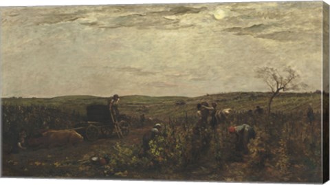 Framed Wine Harvest In Burgundy, 1863 Print