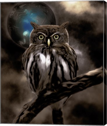 Framed Night Owl Print