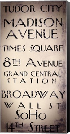 Framed New York City II Print