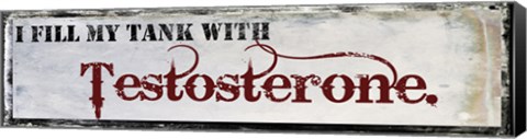 Framed Testosterone Print