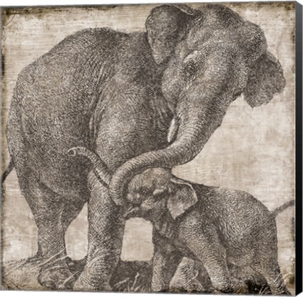 Framed Elephant 2 Print