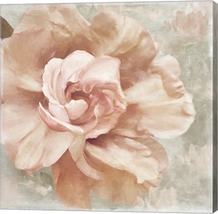 Framed Petals Impasto I Print