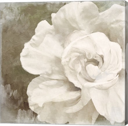 Framed Petals Impasto II Print