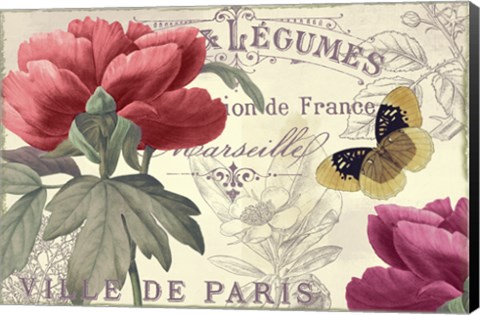 Framed Petals of Paris V Print