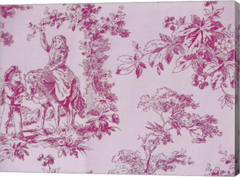 Framed Toile Fabrics IV Print