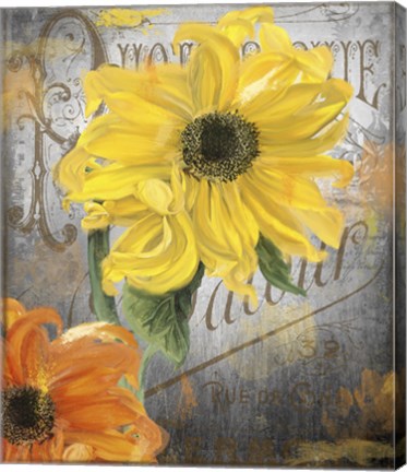 Framed Sunflower Studio Print