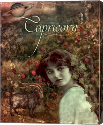 Framed Art Nouveau Zodiac Capricorn Print