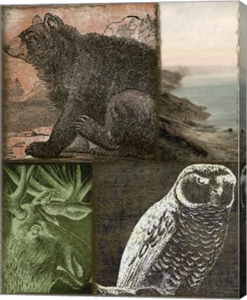 Framed Cabela III Print