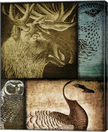 Framed Hunting Season III Print