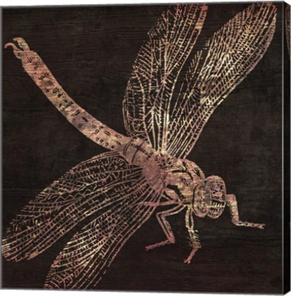 Framed Dragonfly Print