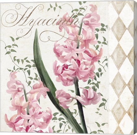 Framed Hyacinth I Print