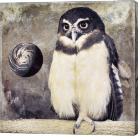 Framed Moon Owl Print