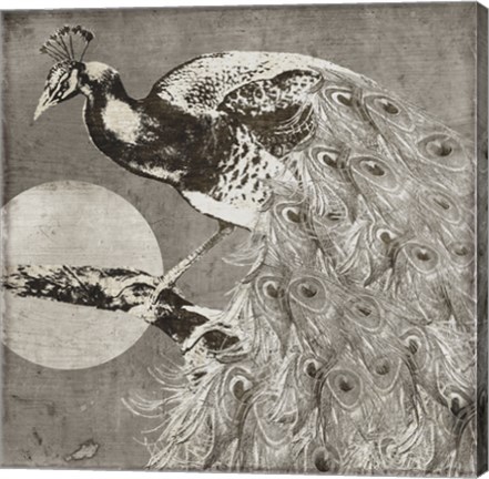 Framed Moon Peacock Print