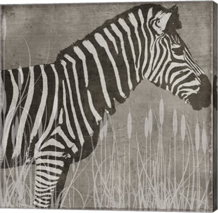 Framed Zebra Print