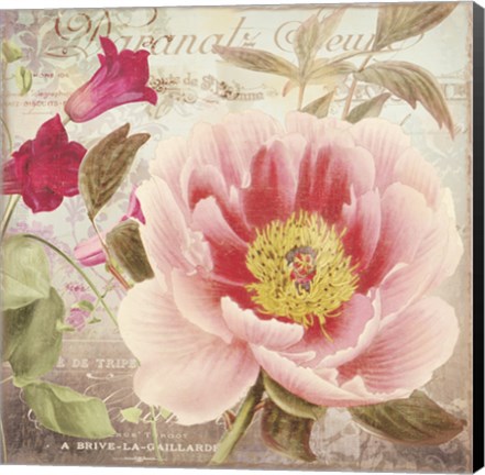 Framed Aphrodite I Print