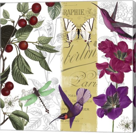 Framed Cherry Picked II Print