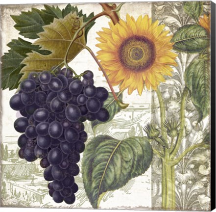 Framed Dolcetto I Print