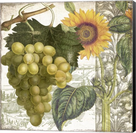 Framed Dolcetto III Print