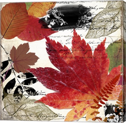 Framed Equinox I Print