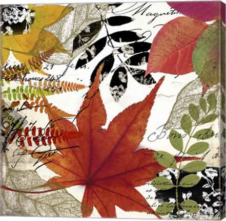 Framed Equinox II Print